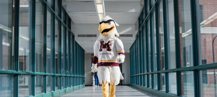 Rockie the mascot walking in the skyway
