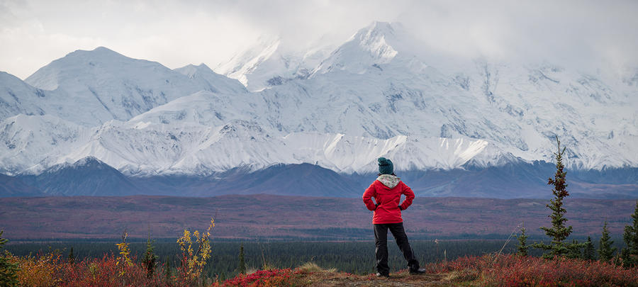 Hiker at mountain top with direct view of the Denali Mountain